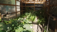 WhatsApp Image 2019-01-23 at 18.16.46