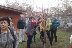 44387836_2362587643763575_5768793707398561792_n